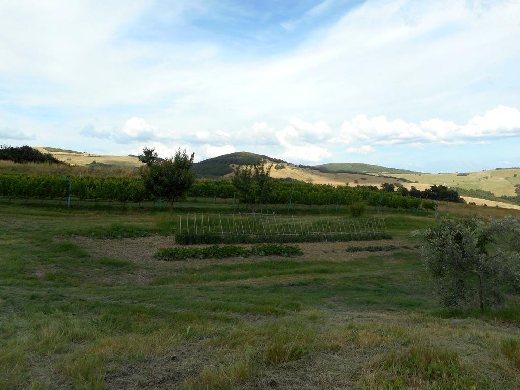 Agriturismo Santa Bruna โวลแตร์รา ภายนอก รูปภาพ