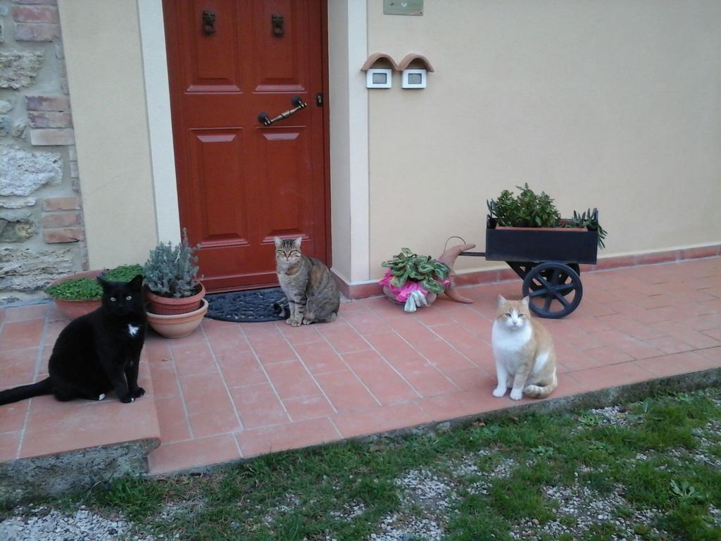 Agriturismo Santa Bruna โวลแตร์รา ภายนอก รูปภาพ