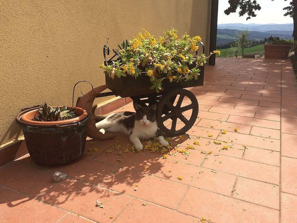 Agriturismo Santa Bruna โวลแตร์รา ภายนอก รูปภาพ