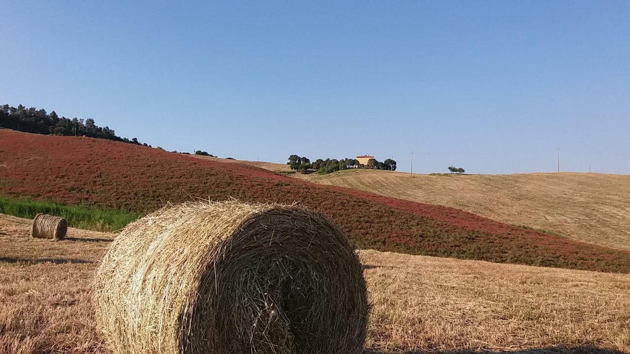 Agriturismo Santa Bruna โวลแตร์รา ภายนอก รูปภาพ
